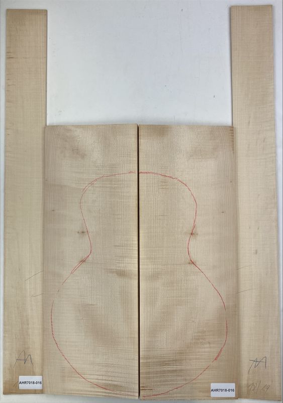 Back & Sides Sycamore / Europ. Maple, Archtop Unique Piece #016